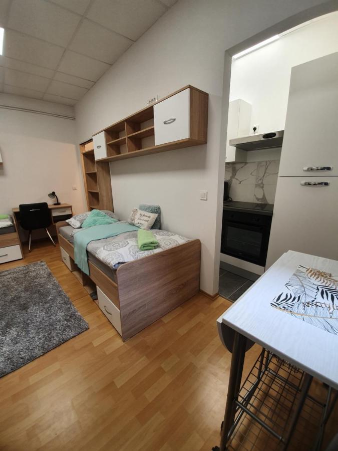 Maribor City Center Minidorm Apartment Eksteriør bilde